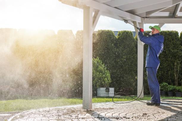 Best Graffiti Removal  in Ridgeway, AK